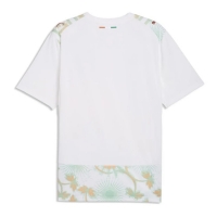 Camiseta Costa de Marfil Segunda Equipación Replica Mundial 2026 mangas cortas